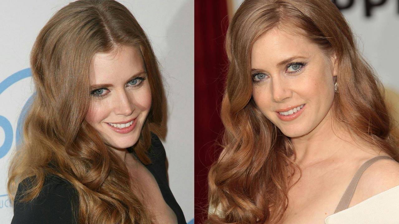 When Was Amy Adams Got Pregnant