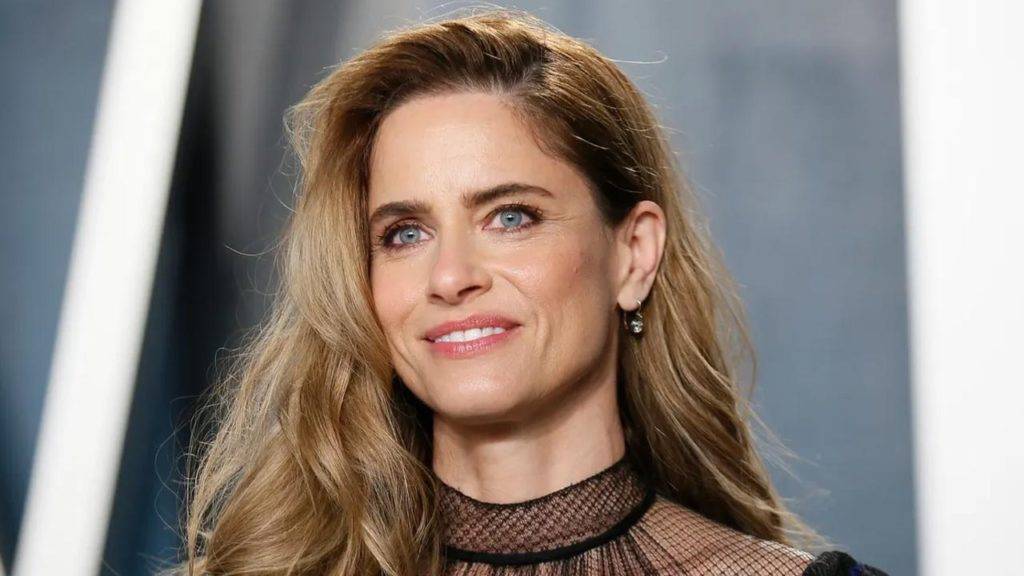 Who Is Amanda Peet