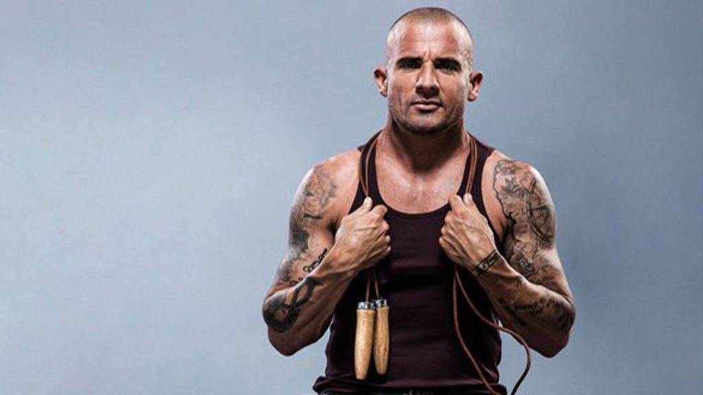 Dominic Purcell Net Worth