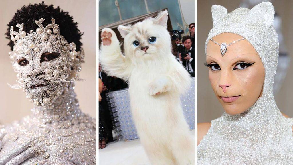 Met Gala 2023 Cat