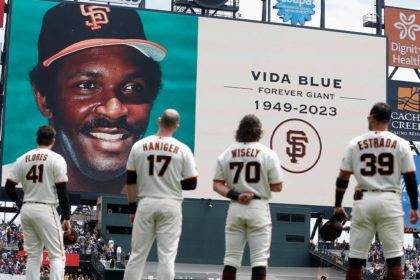 Vida blue death